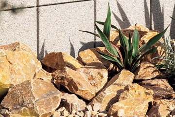 マールブラウン（石灰岩）